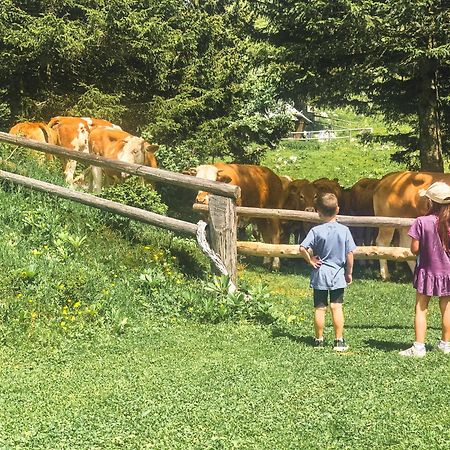 Velika Planina - Chalet Stane - Alps Stahovica Zewnętrze zdjęcie