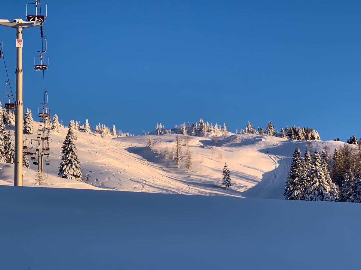 Velika Planina - Chalet Stane - Alps Stahovica Zewnętrze zdjęcie