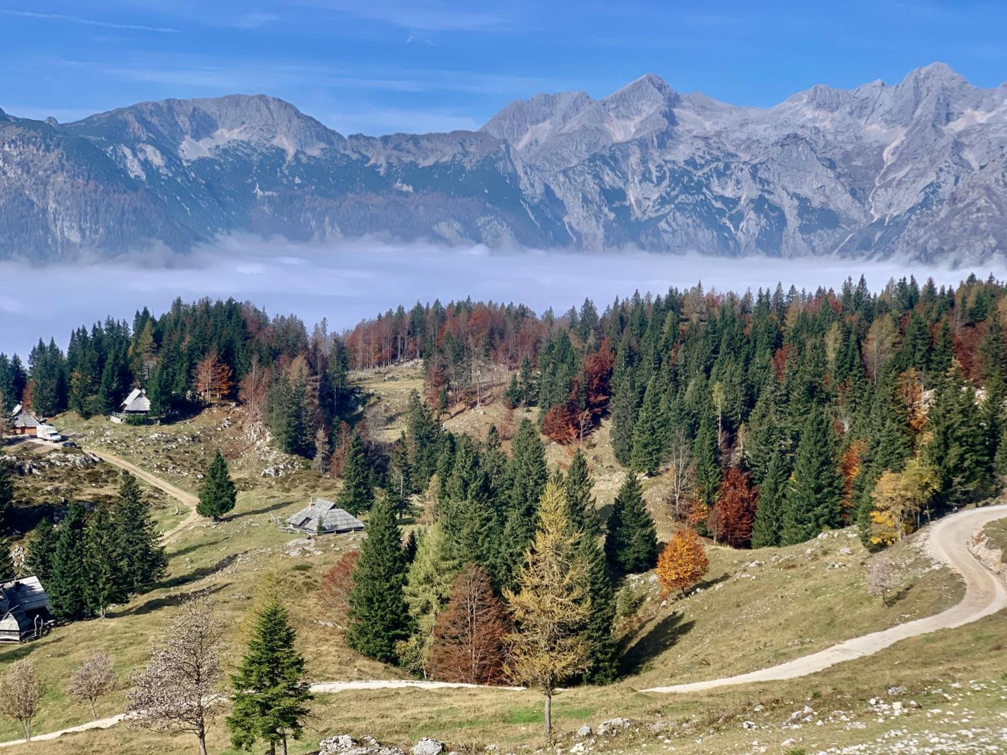 Velika Planina - Chalet Stane - Alps Stahovica Zewnętrze zdjęcie