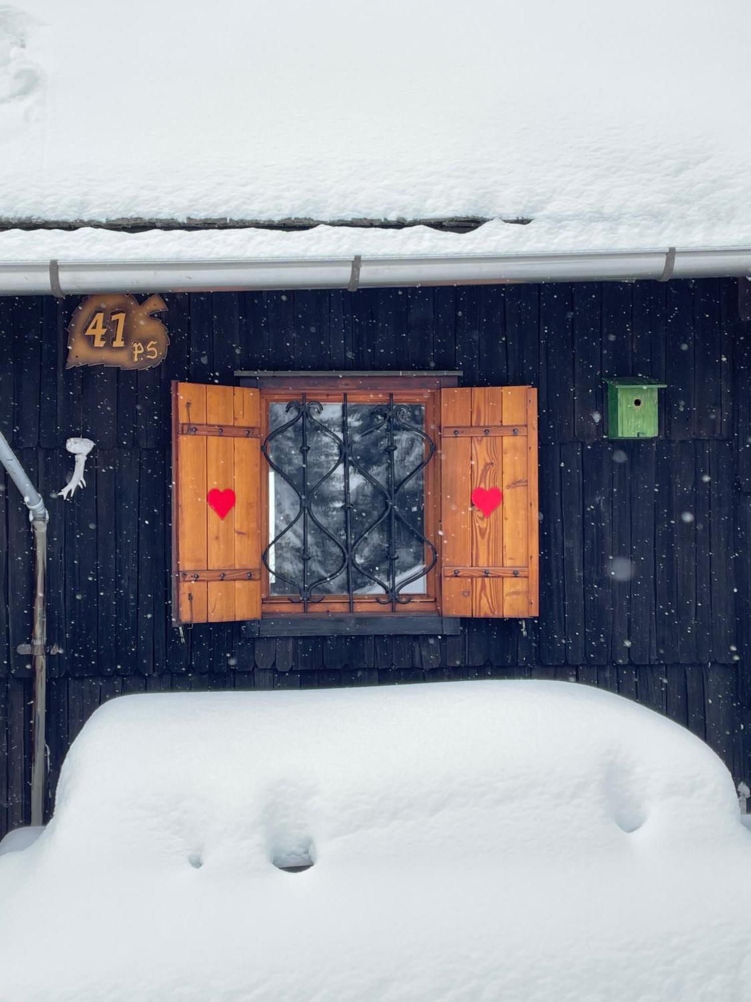 Velika Planina - Chalet Stane - Alps Stahovica Zewnętrze zdjęcie