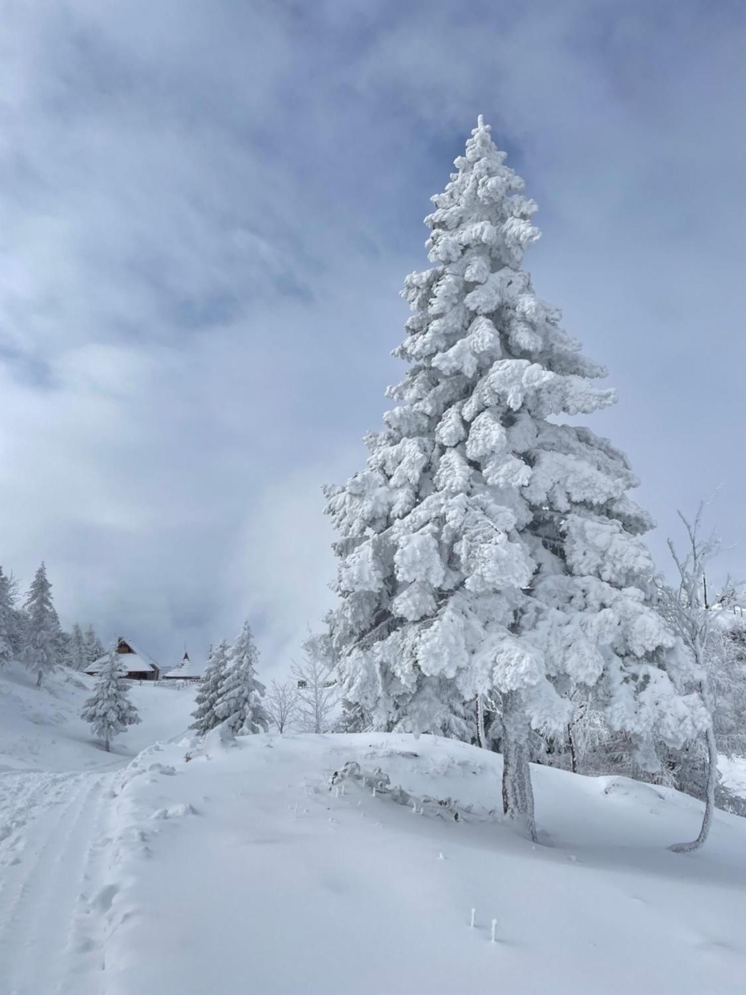 Velika Planina - Chalet Stane - Alps Stahovica Zewnętrze zdjęcie